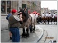 Leuven