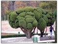 El parque del Buen Retiro - Madrid