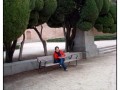 El parque del Buen Retiro - Madrid