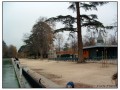 El parque del Buen Retiro - Madrid