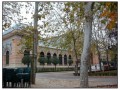 El parque del Buen Retiro - Madrid