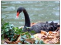 El parque del Buen Retiro - Madrid