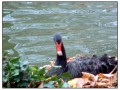 El parque del Buen Retiro - Madrid