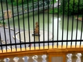 L'Abbazia di Melk