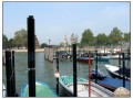 Venezia