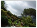 Giardini di Ninfa, Sermoneta - Latina