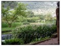 Giardini di Ninfa, Sermoneta - Latina