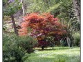 Giardini di Ninfa, Sermoneta - Latina