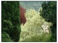 Giardini di Ninfa, Sermoneta - Latina