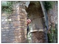 Giardini di Ninfa, Sermoneta - Latina