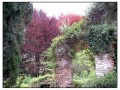 Giardini di Ninfa, Sermoneta - Latina
