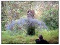 Giardini di Ninfa, Sermoneta - Latina