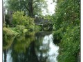 Giardini di Ninfa, Sermoneta - Latina