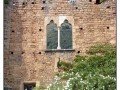 Giardini di Ninfa, Sermoneta - Latina