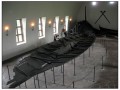 Museo delle navi Vichinghe - Oslo