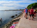 Grado