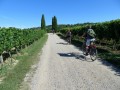 Sui pedali verso il Collio