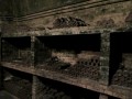 Collio. Cantina Russiz Superiore
