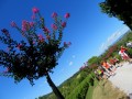 Collio