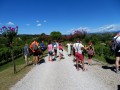 Collio