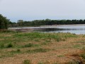 Riserva Naturale, Grado