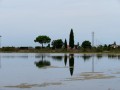 Riserva Naturale, Grado