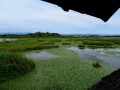 Riserva Naturale foce dell'Isonzo. Isola della Cona