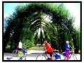La ciclabile dell'Altmuhl