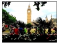 Westminster - Londra
