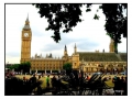 Westminster - Londra