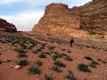 Petra, Monastero di Al-Deir