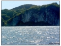 Phi Phi Island