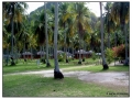 Phi Phi Island