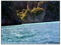 Phi Phi Island