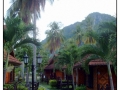 Phi Phi Island