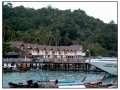 Phi Phi Island