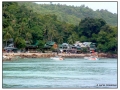 Phi Phi Island