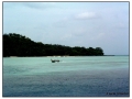Phi Phi Island