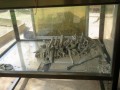 Museo del genocidio di Tuol Sleng, Phnom Penh