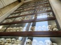 Museo del genocidio di Tuol Sleng, Phnom Penh