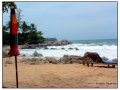 Phuket