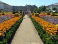 Braga