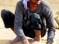 I volti del Rajasthan