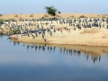 Rajasthan