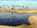 Rajasthan