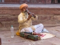 Verso Jaisalmer