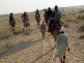 Sam Desert, Jaisalmer