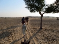 Sam Desert, Jaisalmer