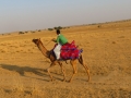 Sam Desert, Jaisalmer