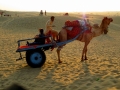 Sam Desert, Jaisalmer